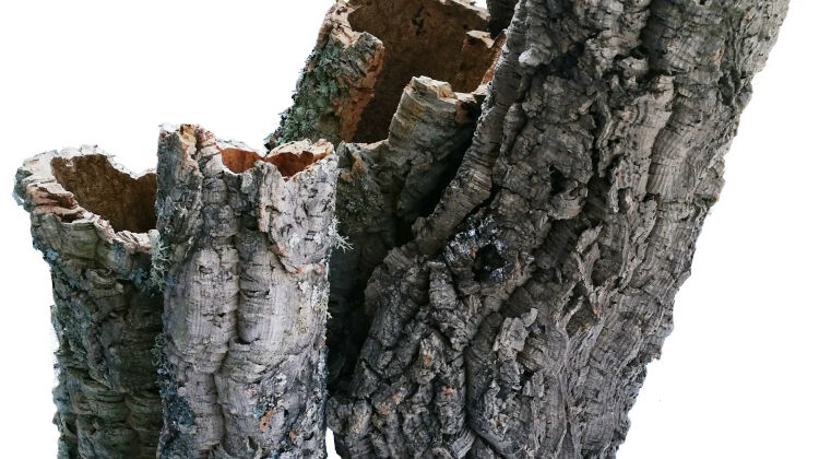 Tubes en liège naturel